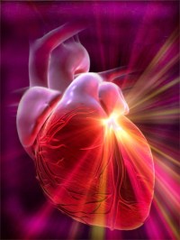 Cardio and vascular